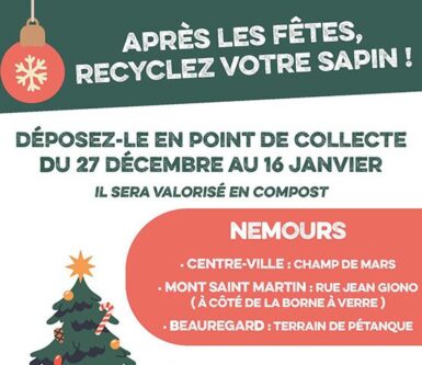 un extrait du flyer édité par le Smetom de la vallée du loing qui explique où et quand déposer son sapin de noël pour qu'il soit valorisé en compost