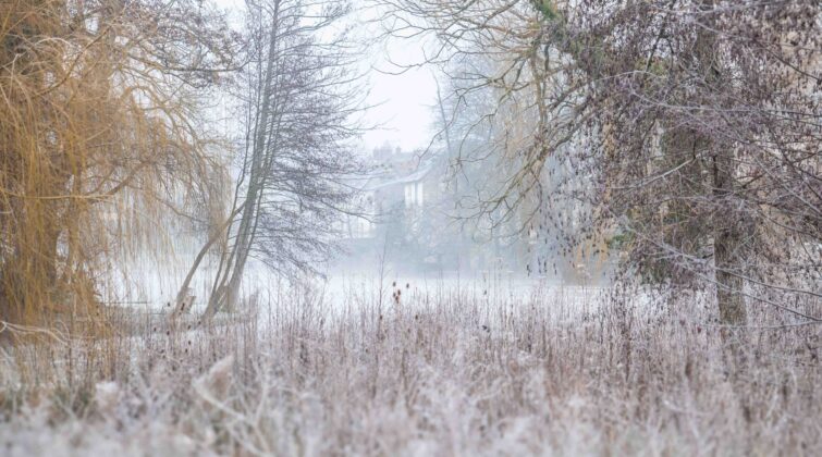 vue nemours ile du perthuis sous le givre